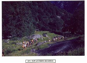 05 LYCEE LAMORICIERE 1960 AUX CABANNES zb0007